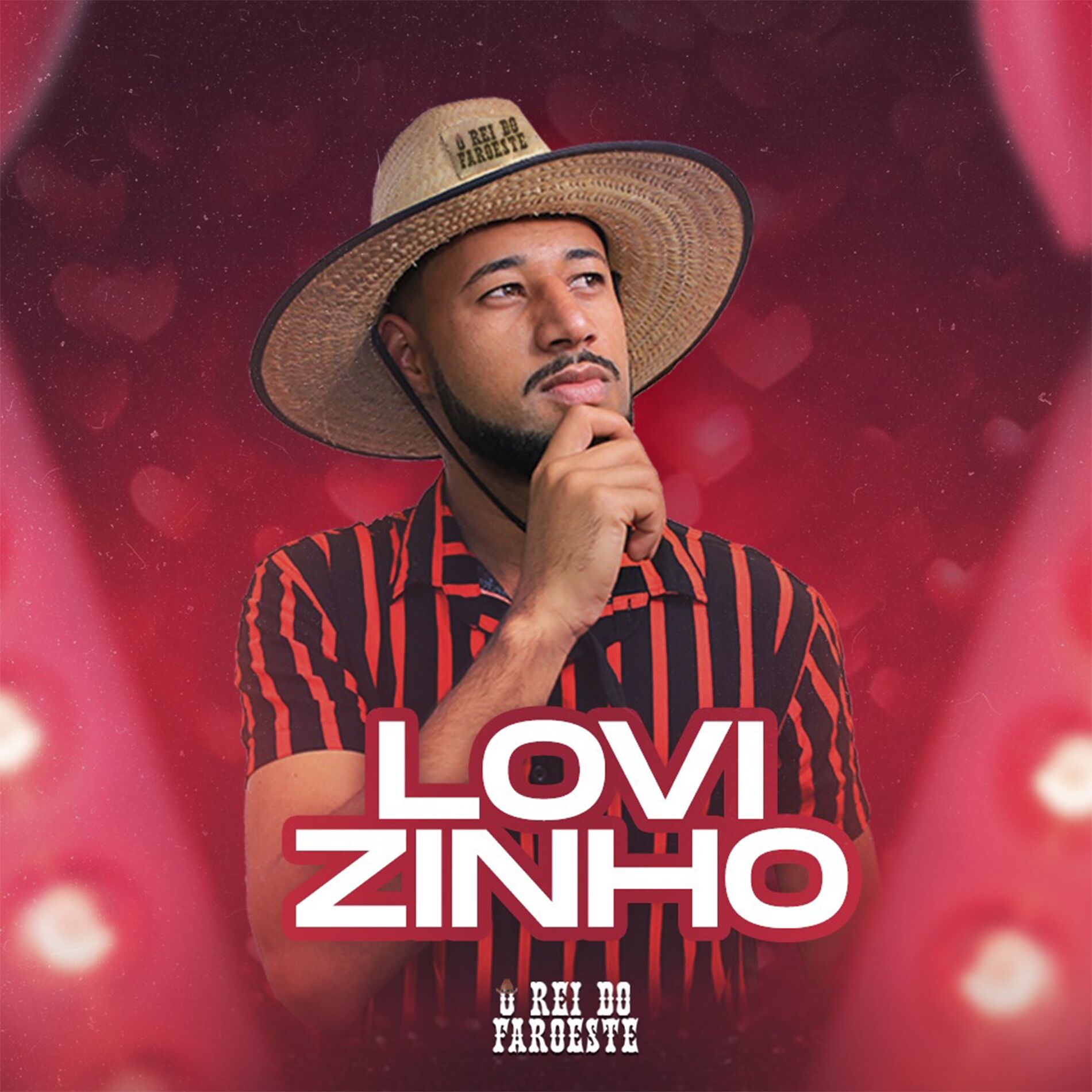 Album cover of Lovizinho