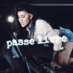 Cover of PASSE LIVRE