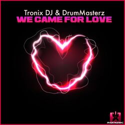 Cover of We Came for Love