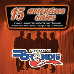 Cover of 15 Autenticos Exitos