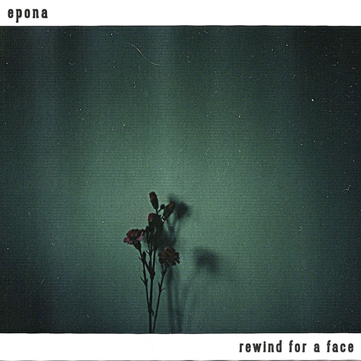 Album cover of Rewind for a Face