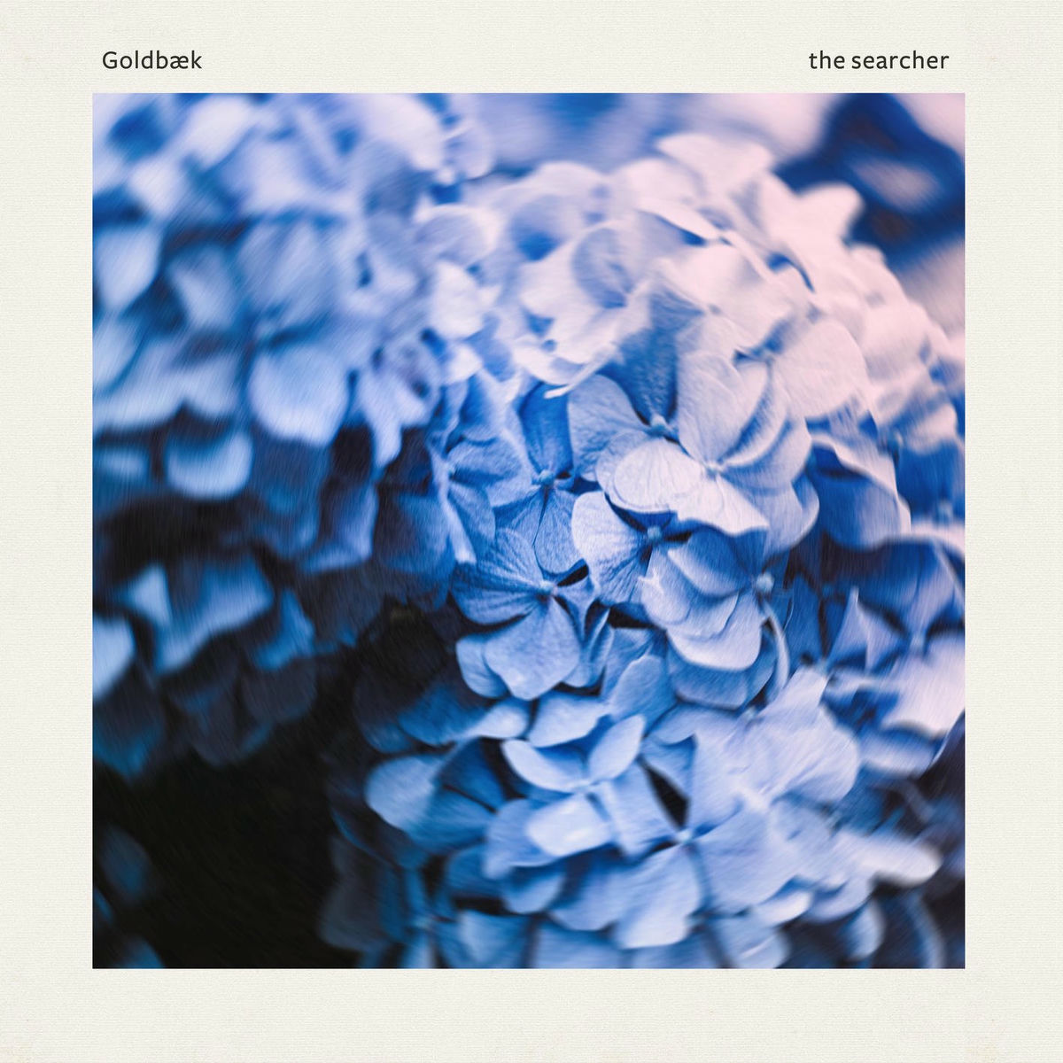 Album cover of the searcher