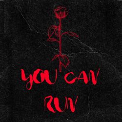 Cover of You Can Run
