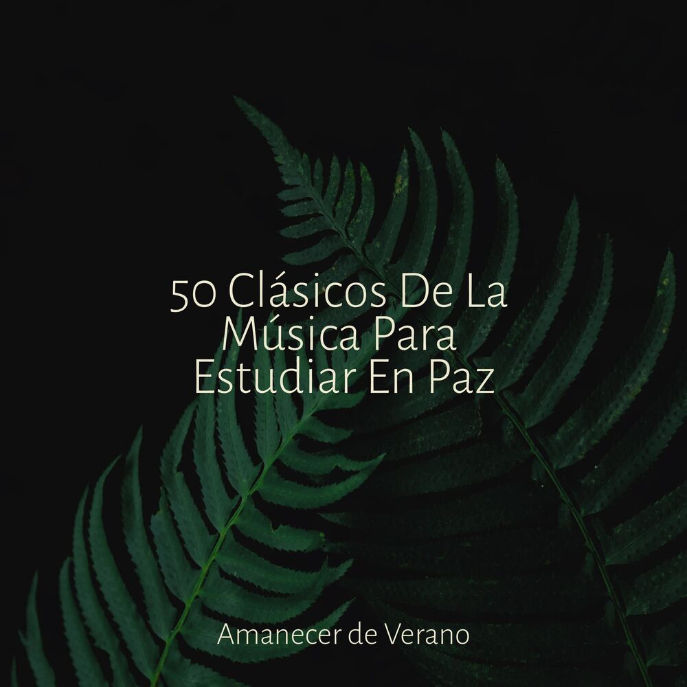 Picture of 50 Clásicos De La Música Para Estudiar En Paz