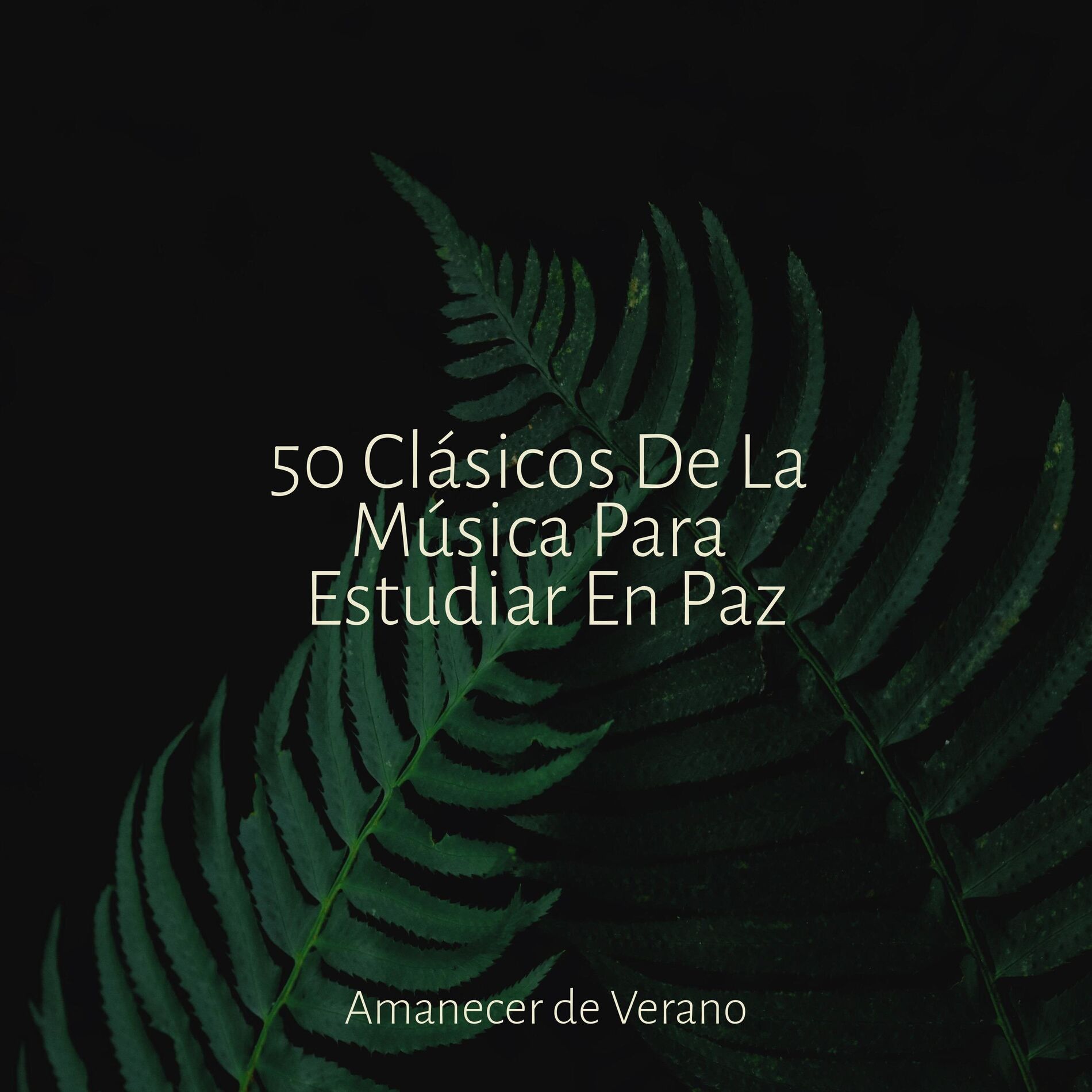Album cover of 50 Clásicos De La Música Para Estudiar En Paz