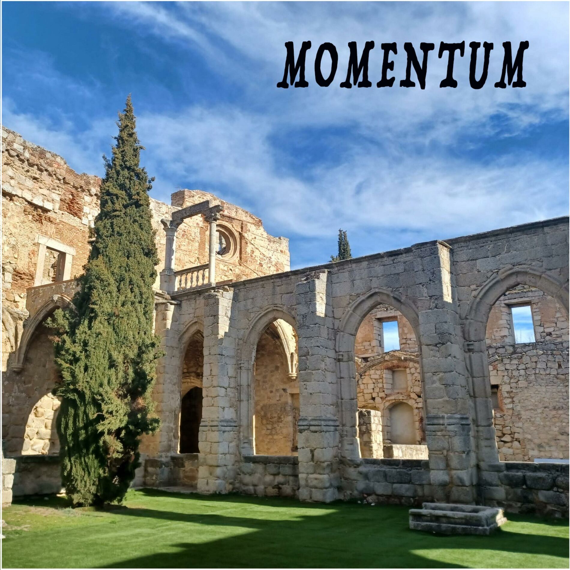 Album cover of Momentum