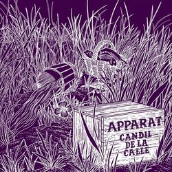 Cover of Candil De La Calle