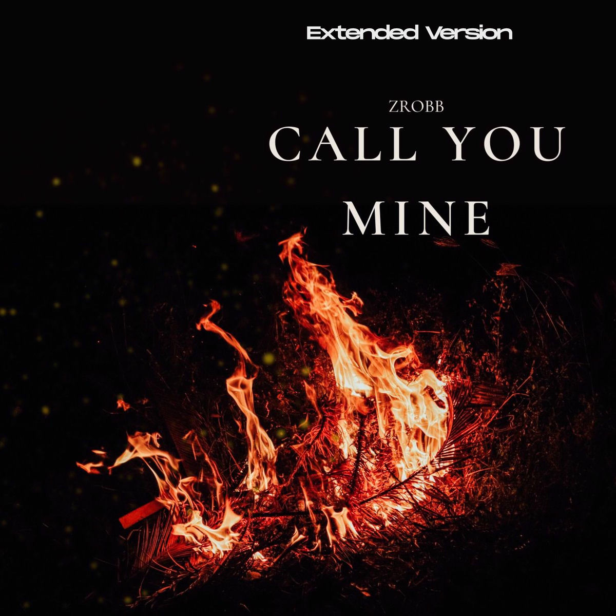 Album cover of Call You Mine (Extended Version)