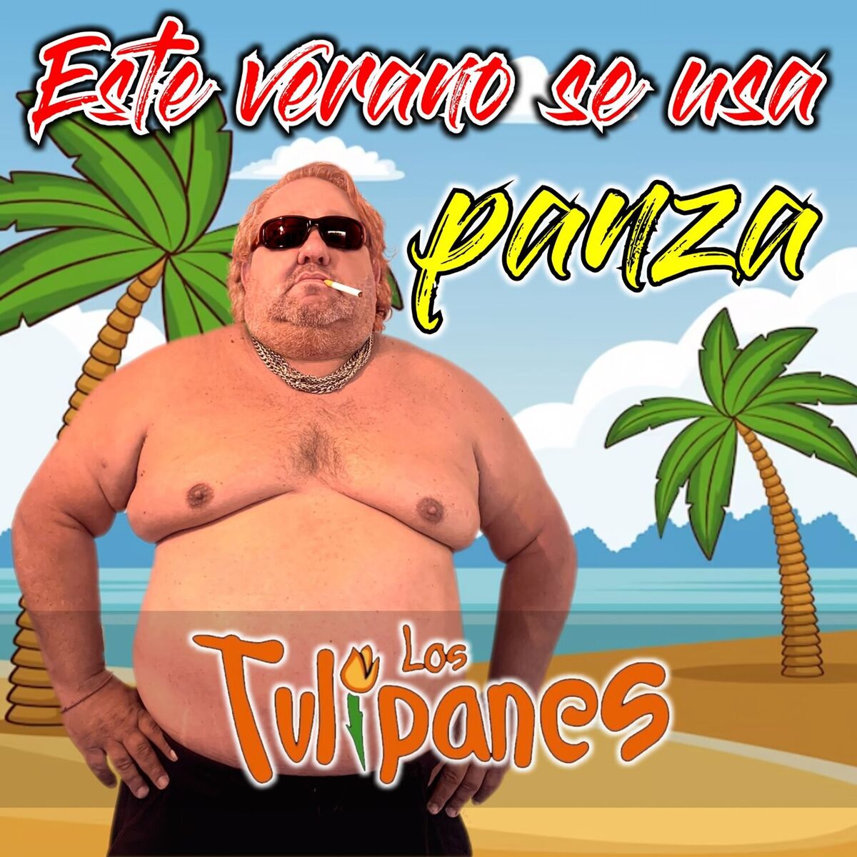 Album cover of Este Verano se usa Panza