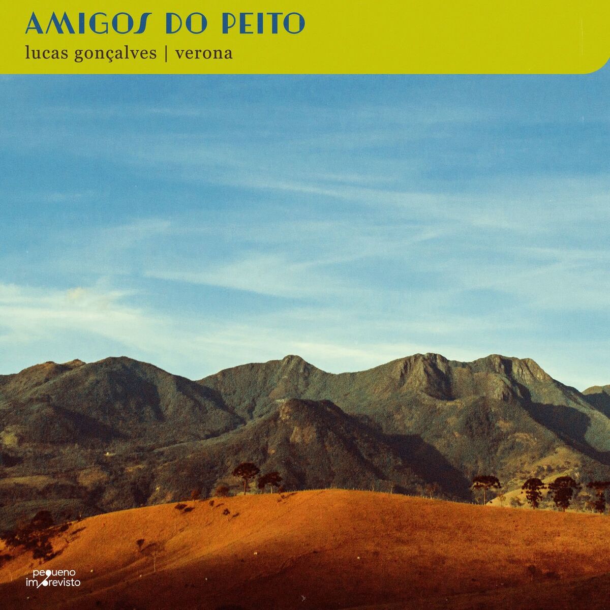 Album cover of Amigos do Peito (+ paraIso)