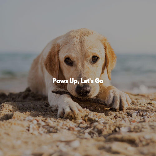 Paws Up, Let's Go
