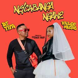 Cover of Ng'cabanga Ngawe
