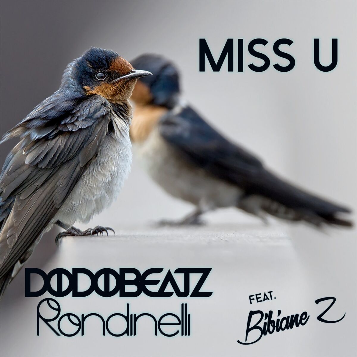 Album cover of Miss U
