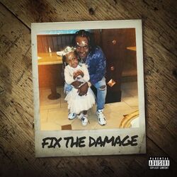 Cover of FIX THE DAMAGE
