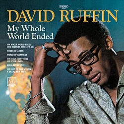 Cover of My Whole World Ended