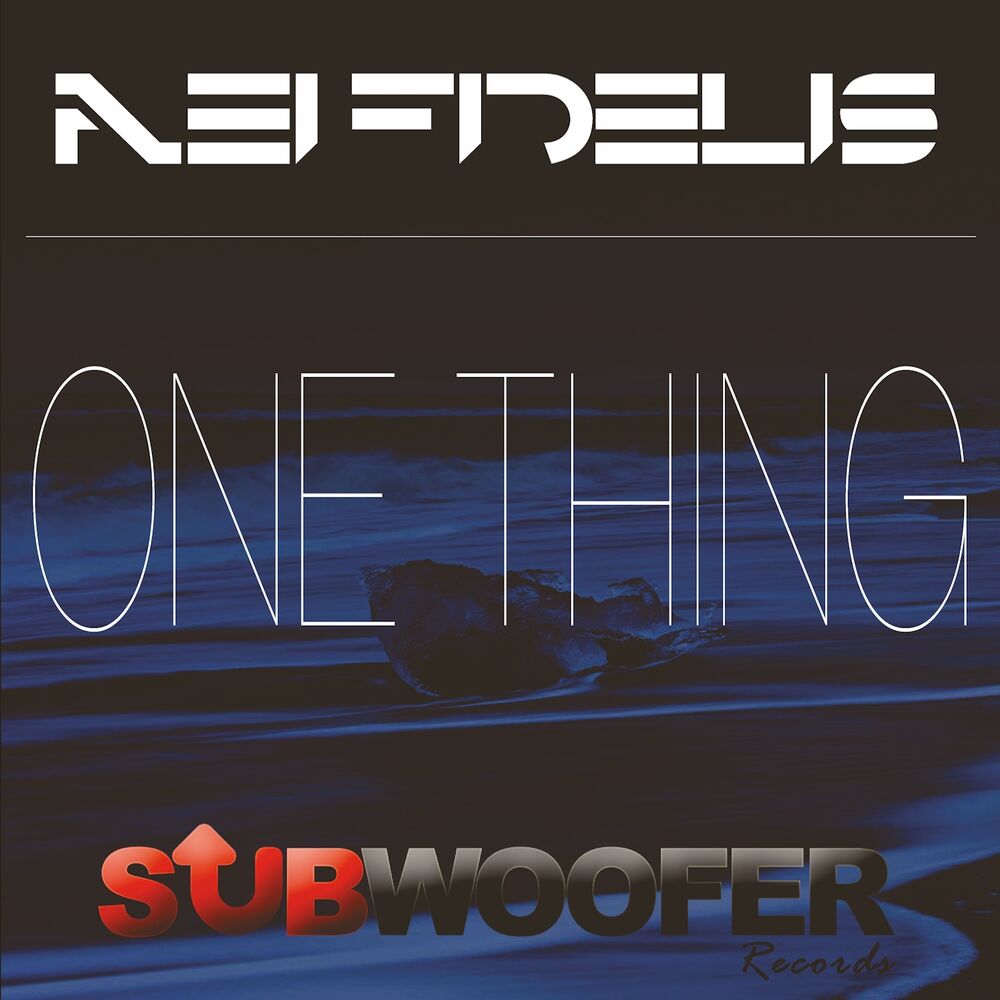 Picture of One Thing