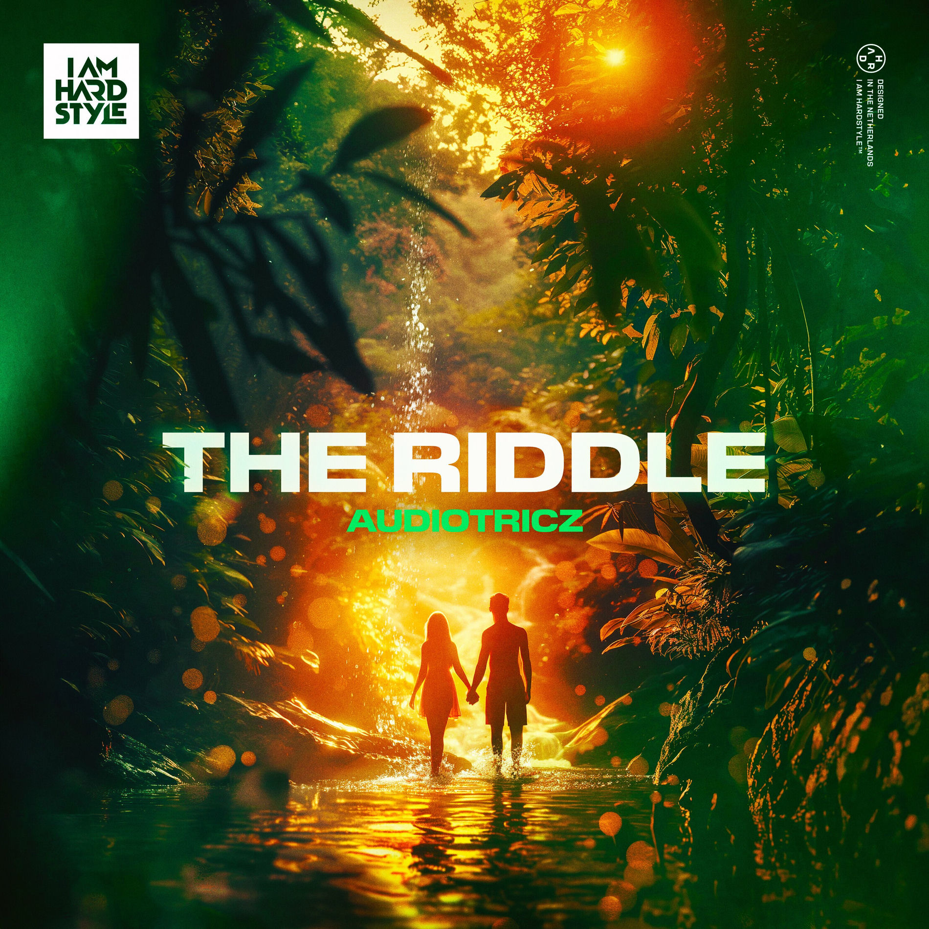 Album cover of The Riddle