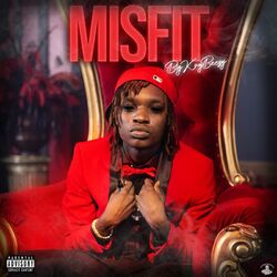 Cover of Misfit