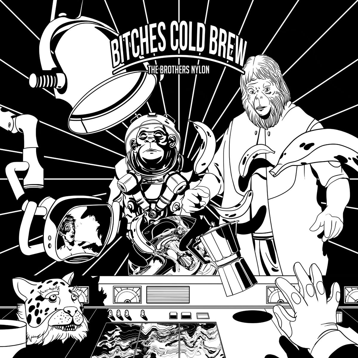 Album cover of Bitches Cold Brew