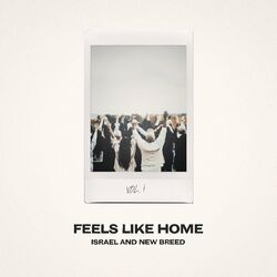 Cover of Feels Like Home, Vol. 1