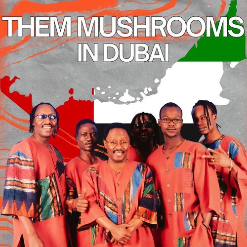 In Dubai
