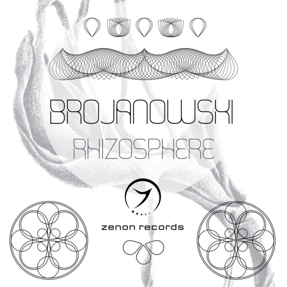 Picture of Rhizosphere