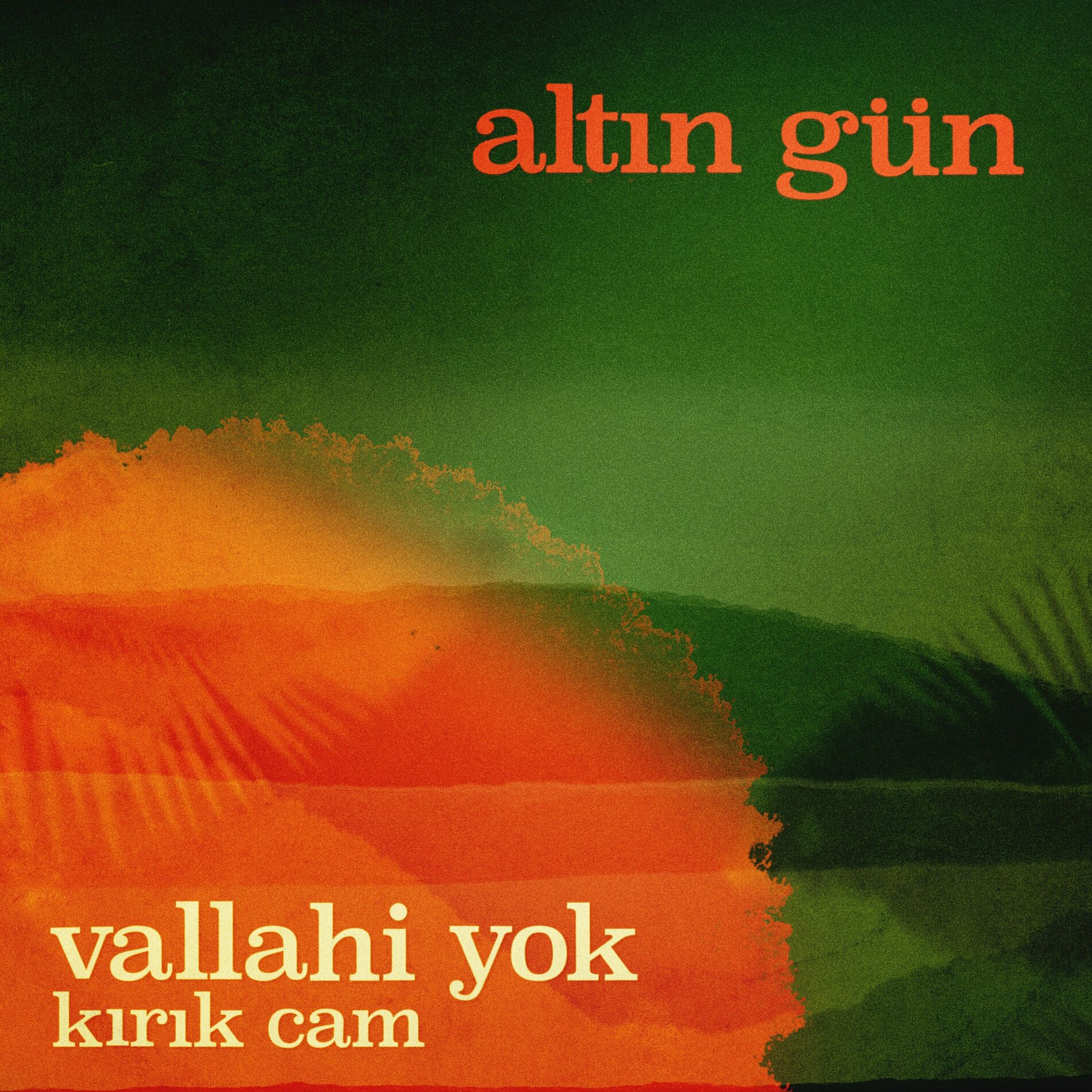 Album cover of Vallahi Yok