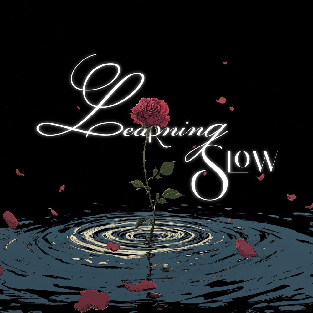 Picture of Learning Slow