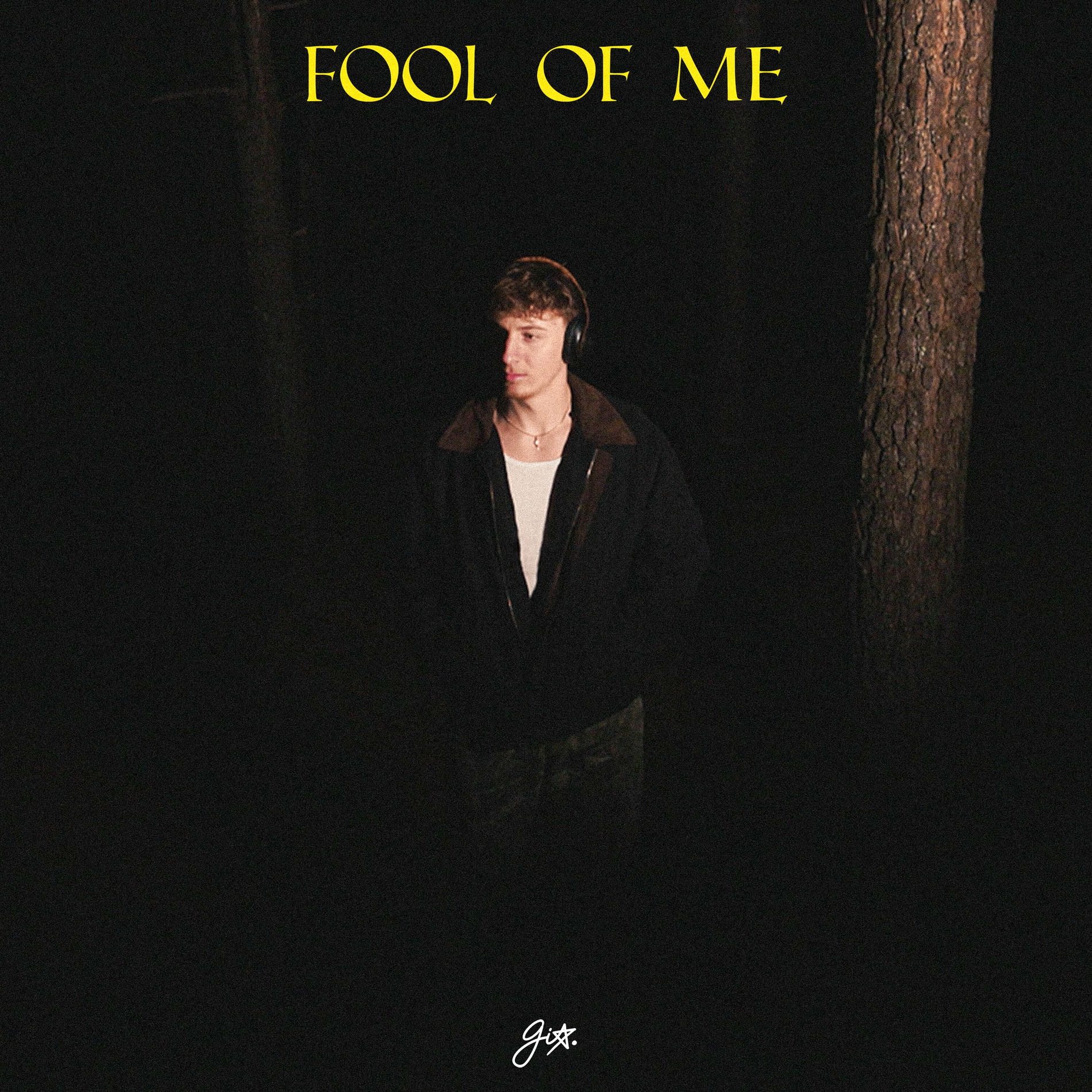 Album cover of fool of me
