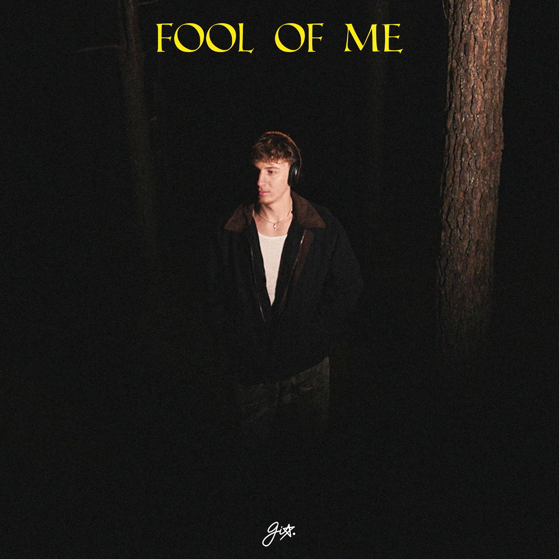 Album cover of fool of me