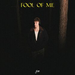 Cover of fool of me