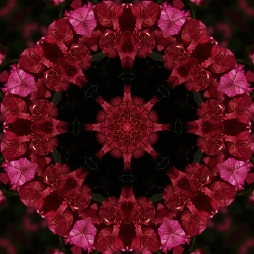 Tibetan Singing Bowls - D# Sacral Chakra - Relaxation and Meditation by Sonic Yogi - 90 BPM