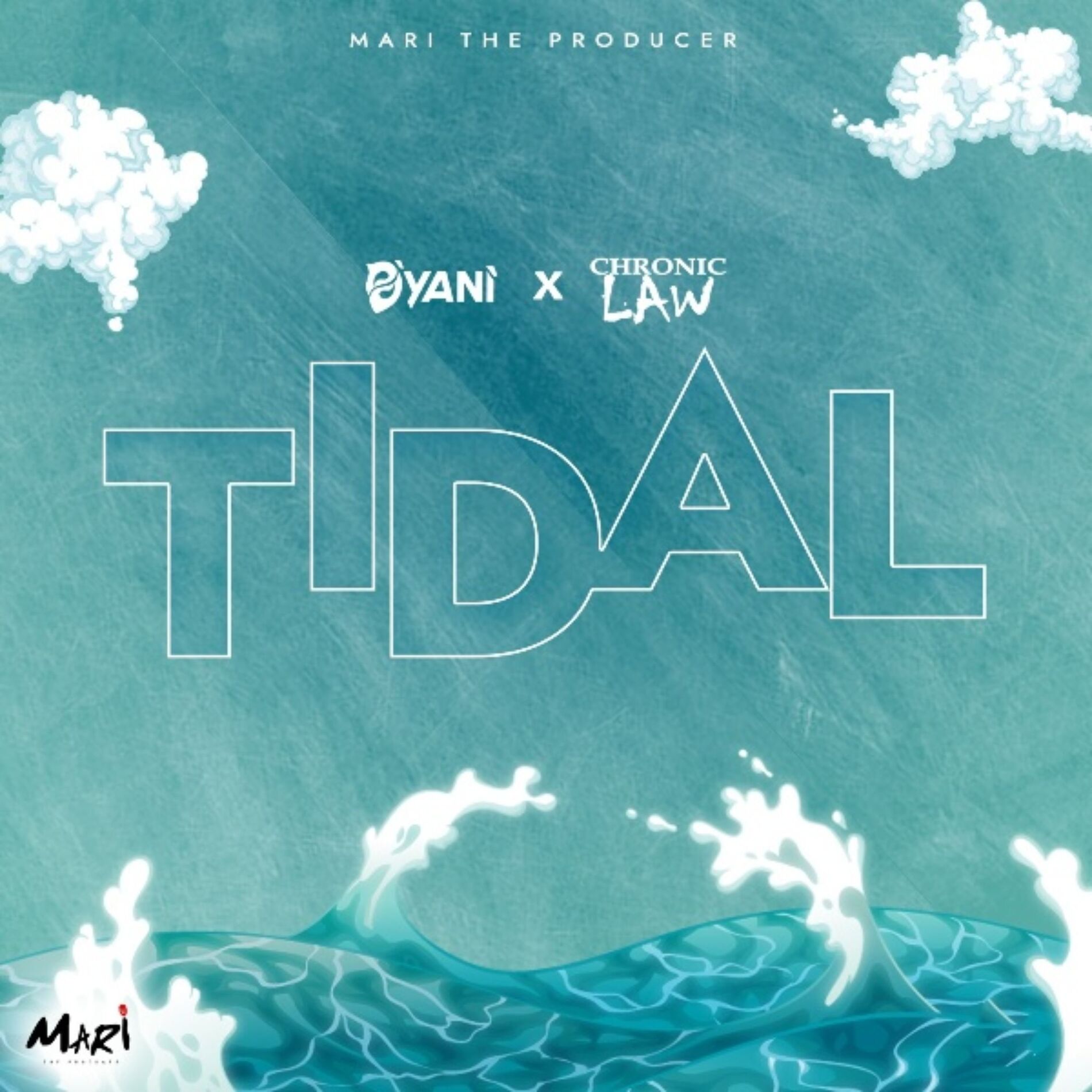Album cover of Tidal