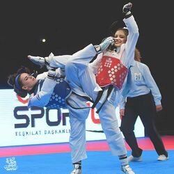 Cover of TKD