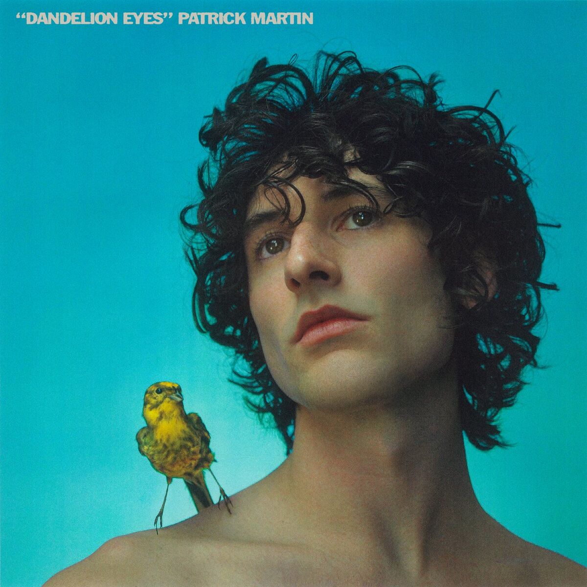Album cover of Dandelion Eyes