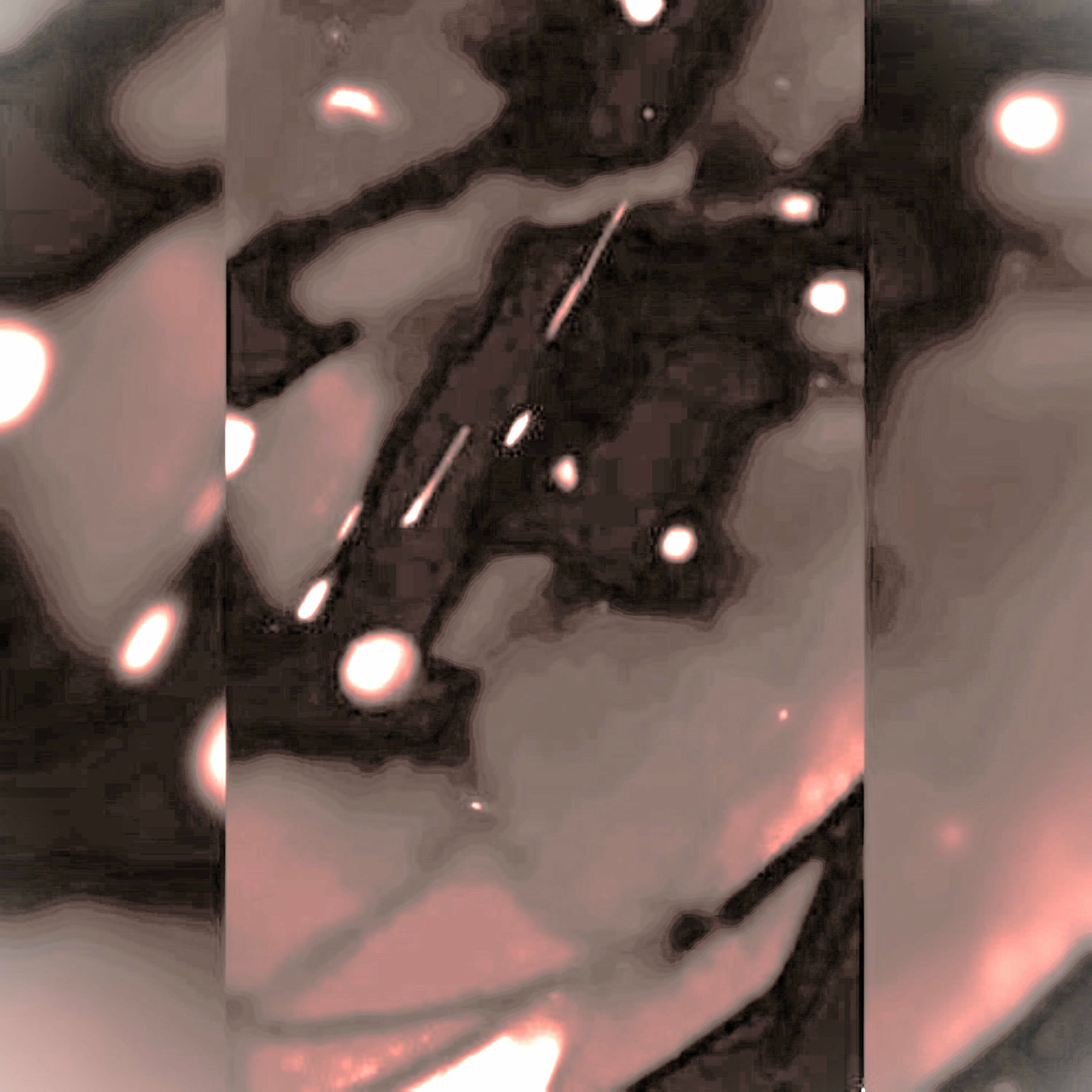 Album cover of New Light