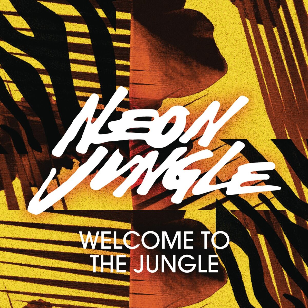 Album cover of Welcome to the Jungle