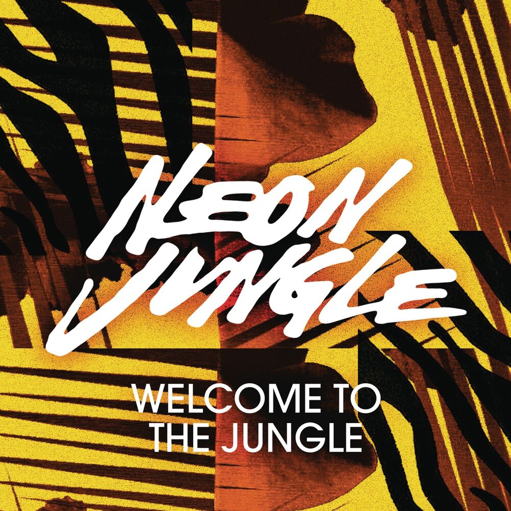 Picture of Welcome to the Jungle (Remixes)