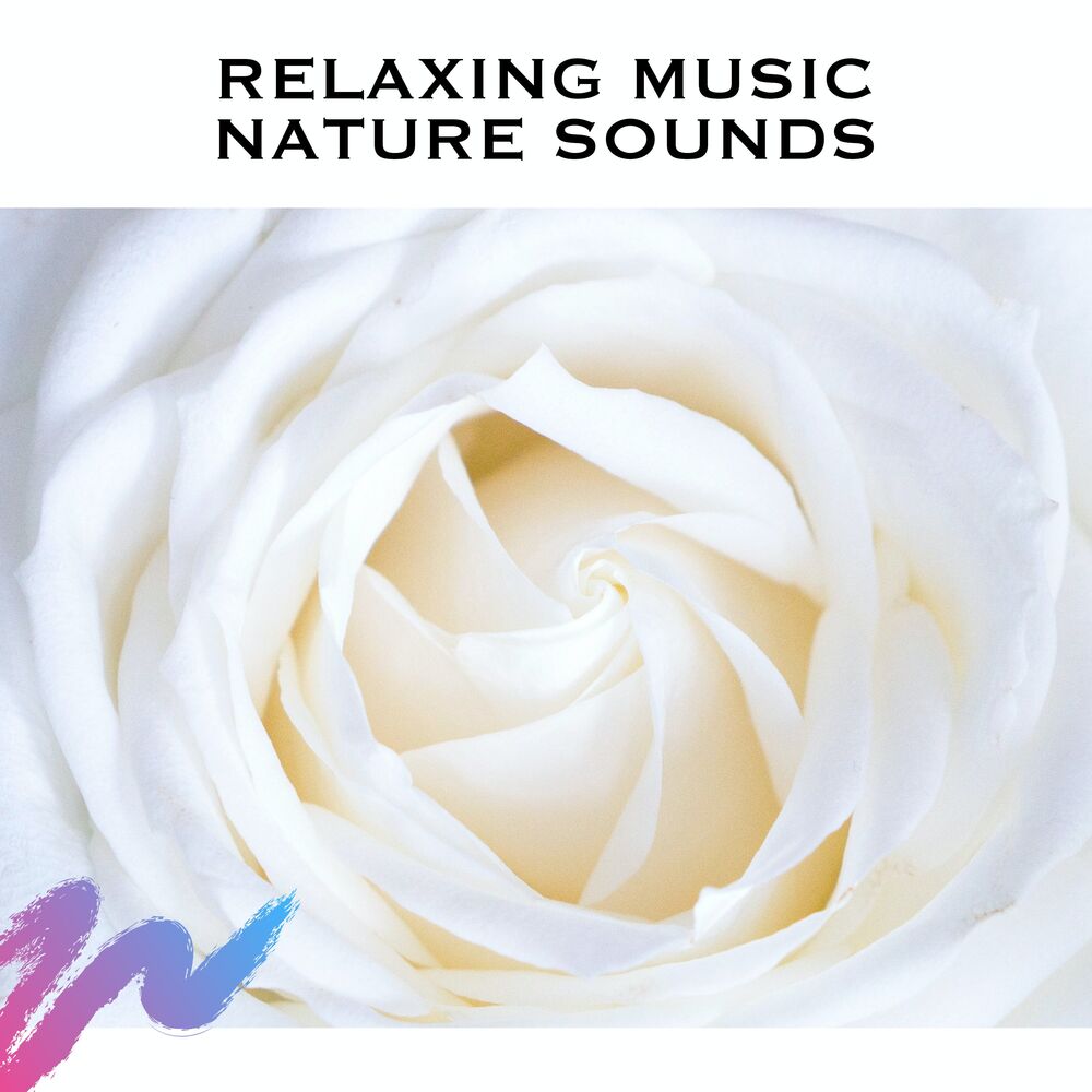 Picture of Relaxing Music Nature Sounds