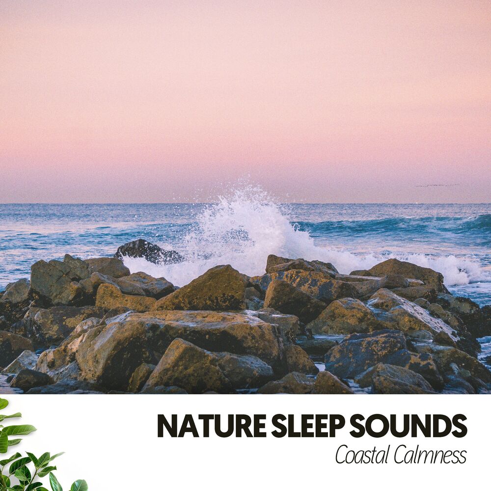 Picture of Nature Sleep Sounds: Coastal Calmness