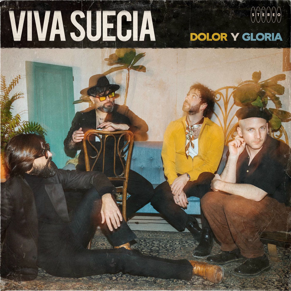 Album cover of Dolor y Gloria