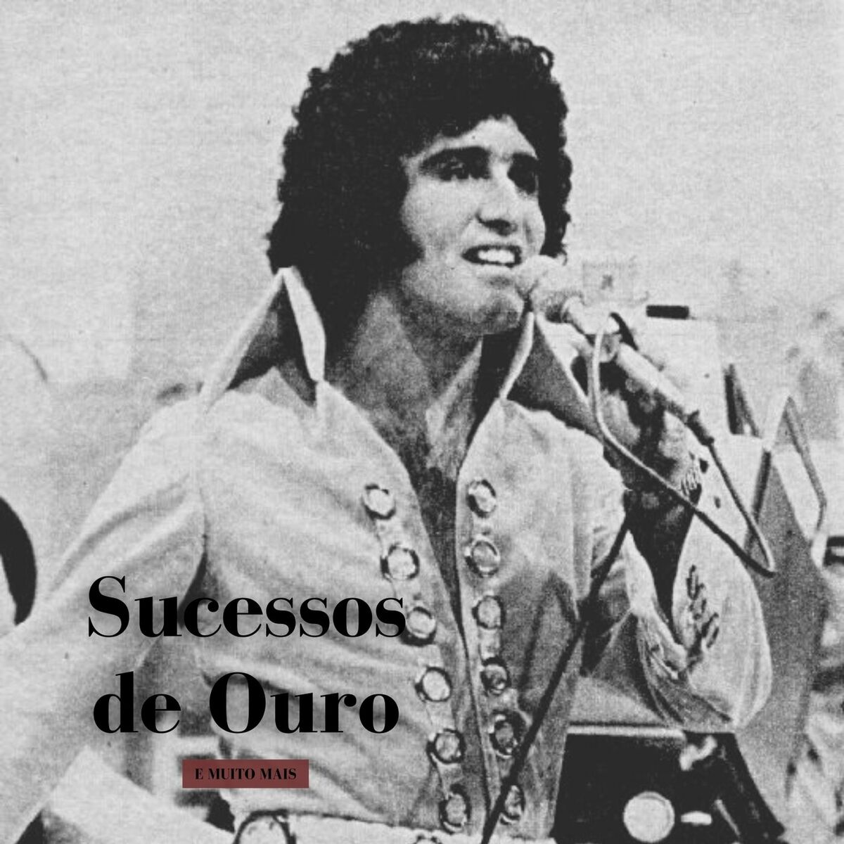 Album cover of Sucessos de Ouro e Muito Mais