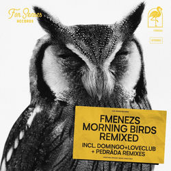 Cover of Morning Birds (Pedräda Remix) by undefined