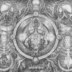 Cover of The Dream Membrane