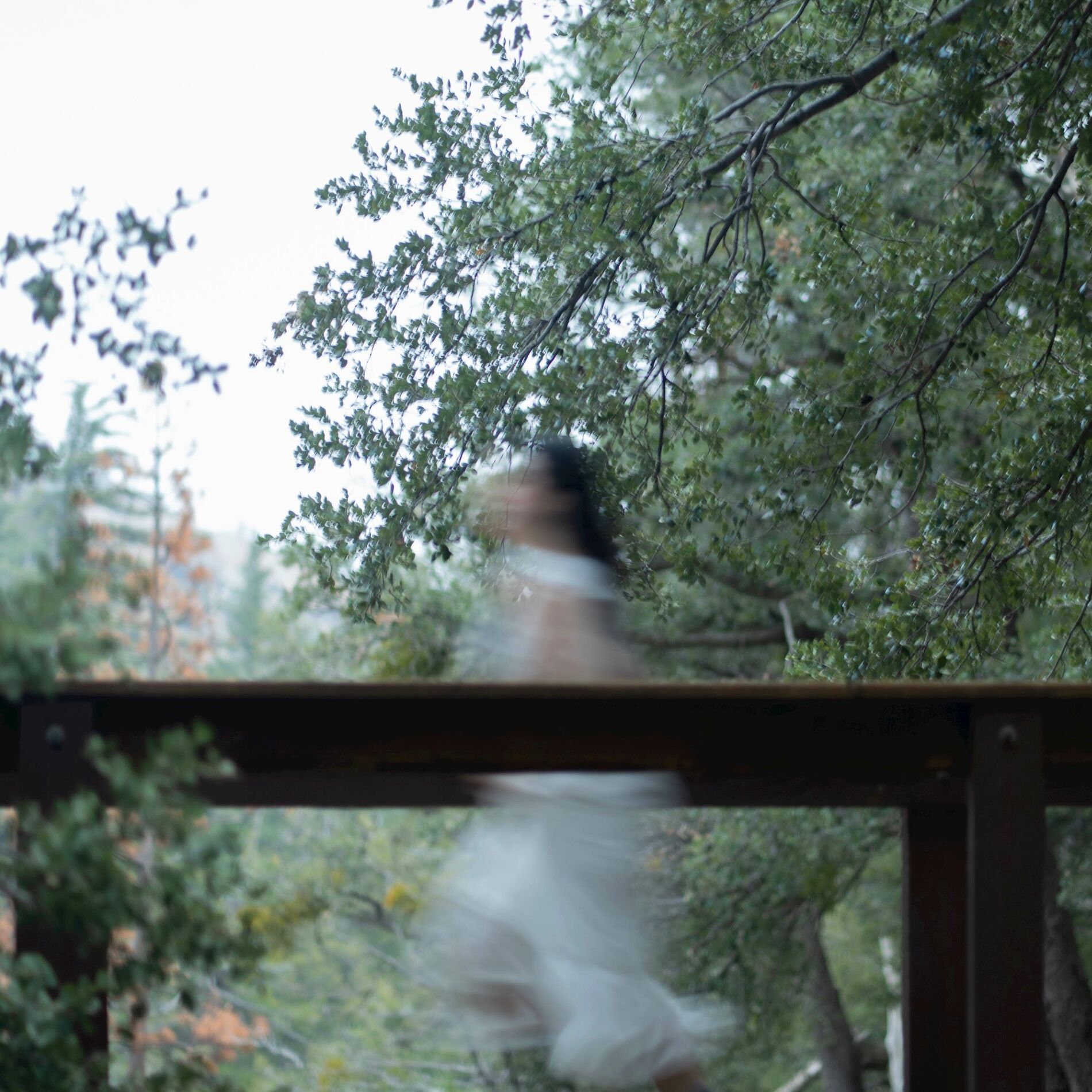 Album cover of The Wolves (the witching hour version)