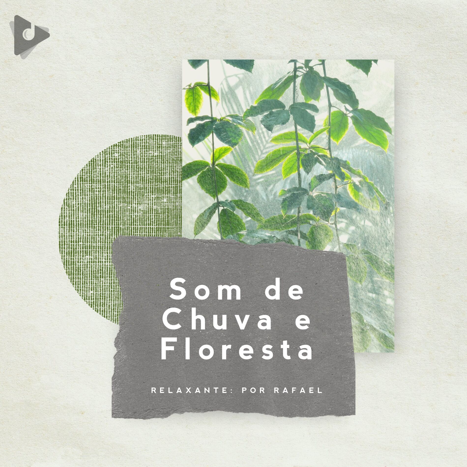 Album cover of Som de Chuva e Floresta