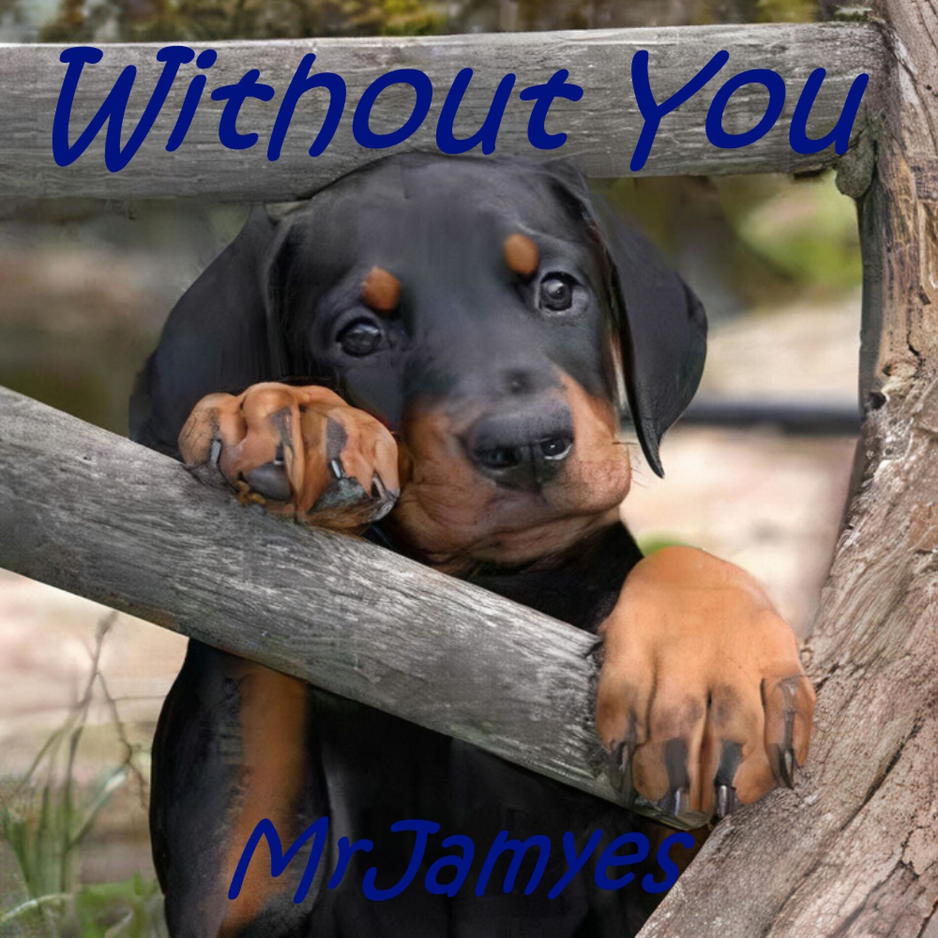 Album cover of Without You