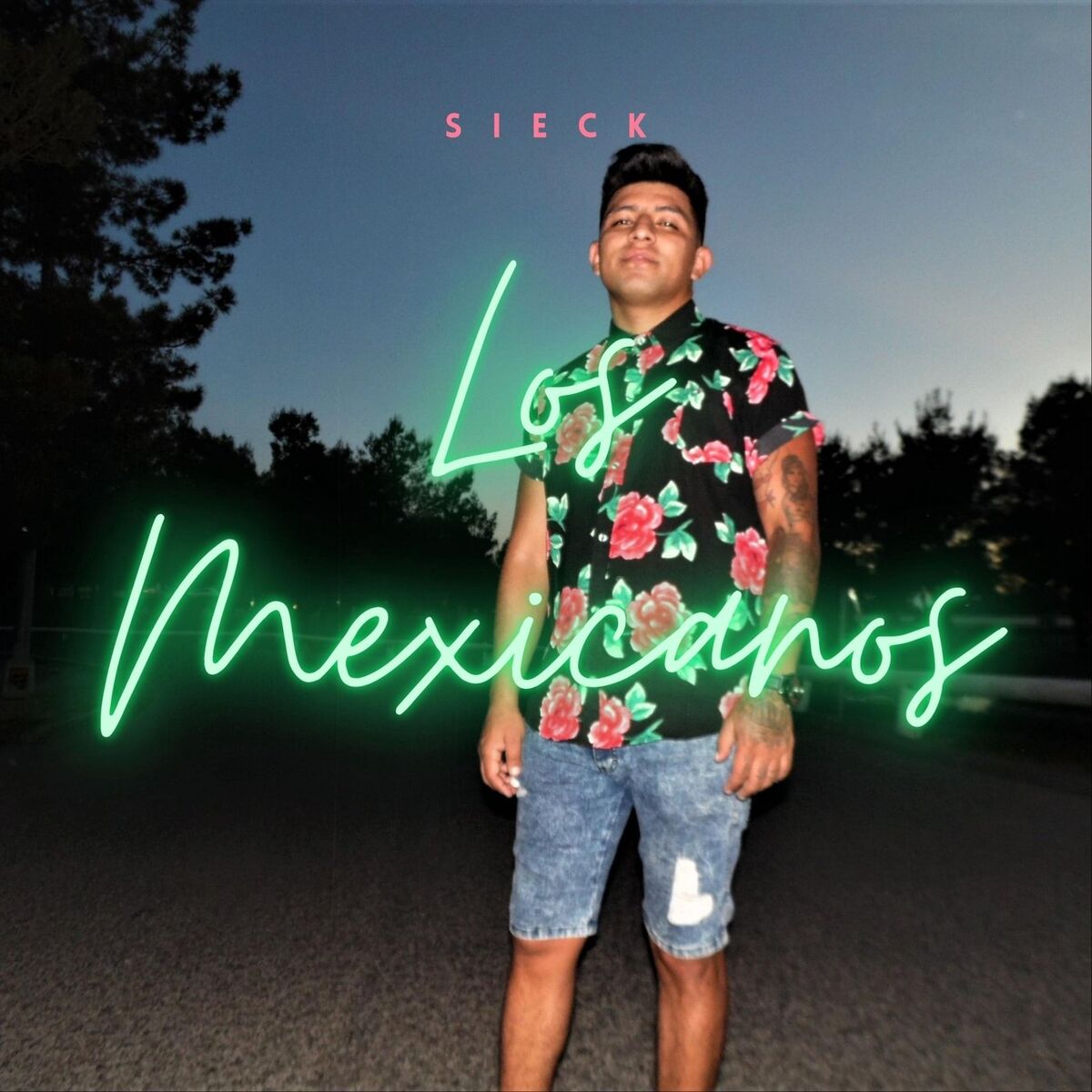 Album cover of Los Mexicanos
