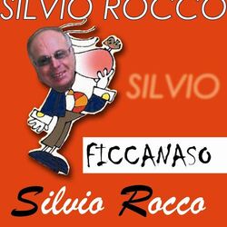 Cover of Ficcanaso