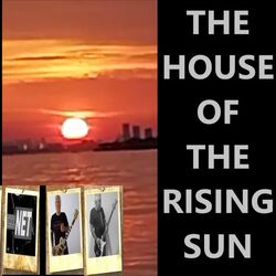 Cover of The House Of The Rising Sun (Instrumental Surf Mono Drumless)
